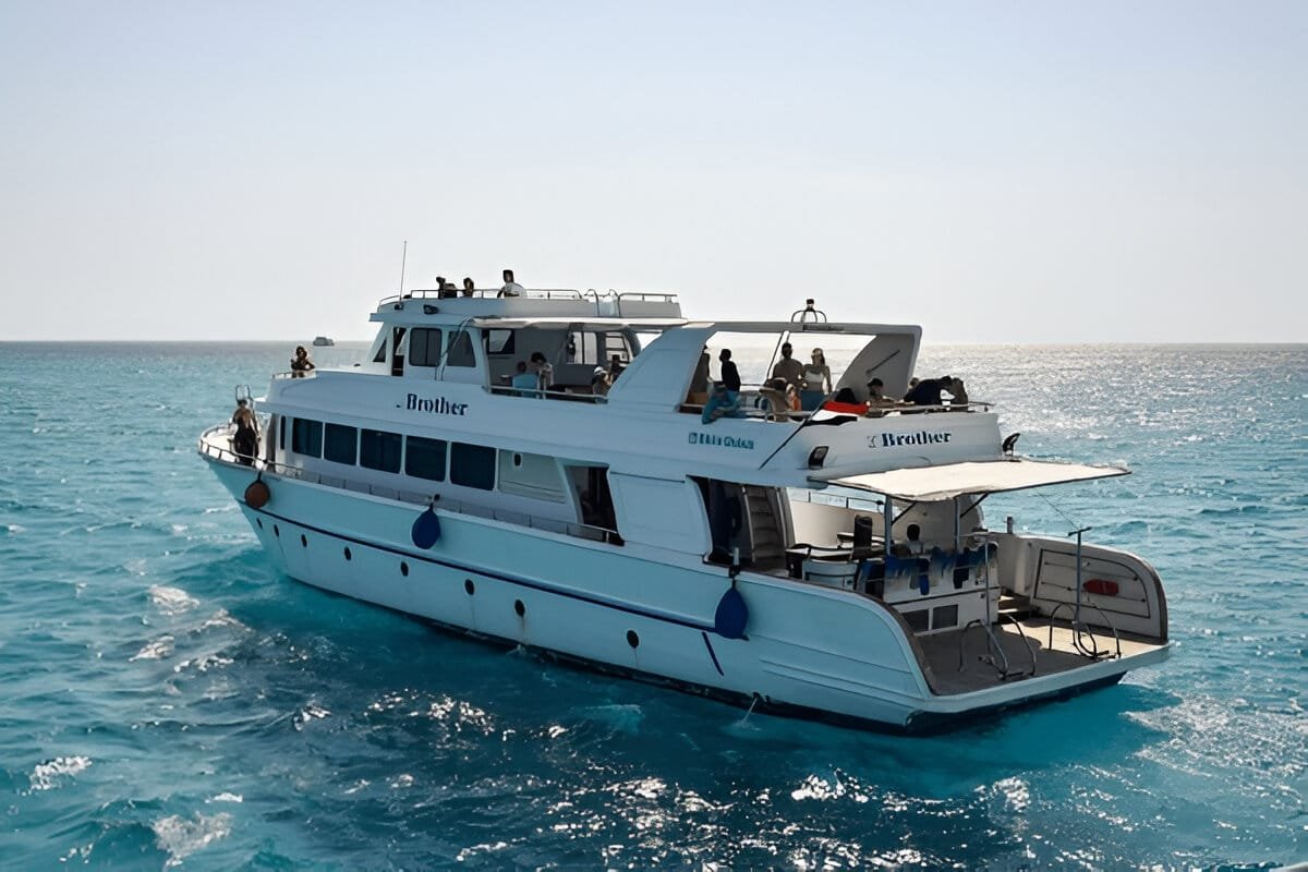 Marsa Alam Bootstour mit Mittagessen - Rotes Meer Schnorchel