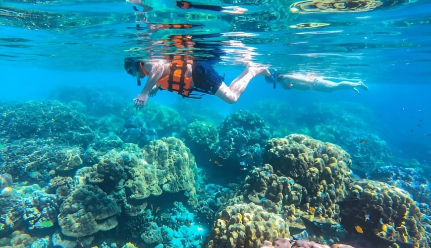 Soma Bay Schnorchelausflug - Bunte Korallenriffe und tropische Fische