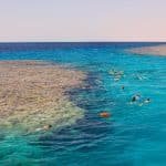 Soma Bay Schnorchelausflug - Bunte Korallenriffe und tropische Fische
