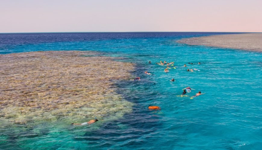 Soma Bay Schnorchelausflug - Bunte Korallenriffe und tropische Fische