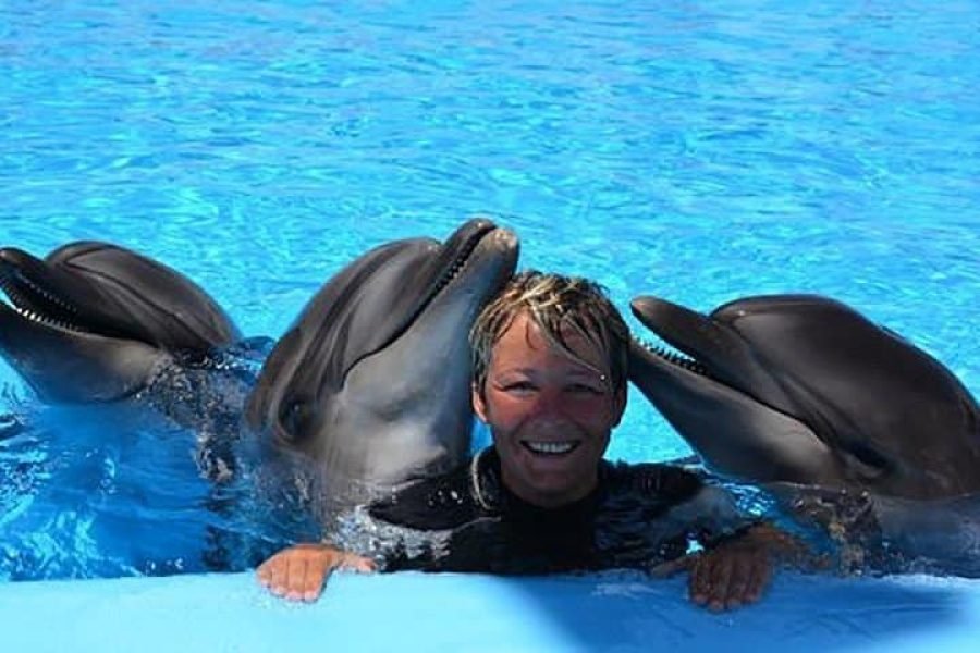 Delfin-show-Hurghada-Ausflug