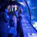 Hurghada Grand Aquarium für Kinder - Unterwasserwelt entdecken