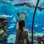 Hurghada Aquarium online buchen - Eingangsbereich