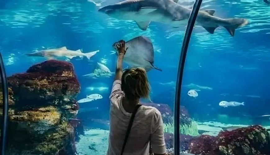 Hurghada Aquarium online buchen - Eingangsbereich