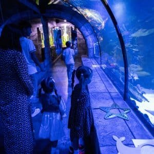 Hurghada Grand Aquarium für Kinder - Unterwasserwelt entdecken