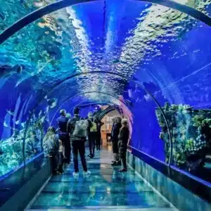 Hurghada Grand Aquarium - Eingangsbereich mit Besuchern