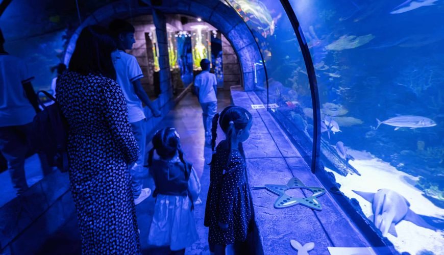 Hurghada Grand Aquarium für Kinder - Unterwasserwelt entdecken
