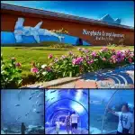Hurghada Aquarium mit Transfer - Eingangsbereich