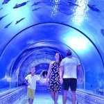 Hurghada Grand Aquarium für Kinder - Unterwasserwelt entdecken