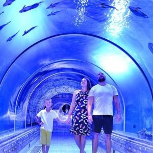 Hurghada Aquarium Ausflug - Hai schwimmt in großem Aquarium