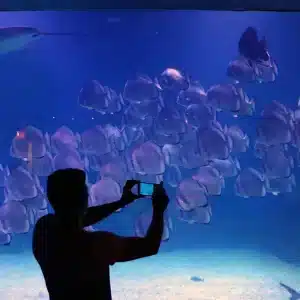 Hurghada Aquarium mit Transfer - Eingangsbereich