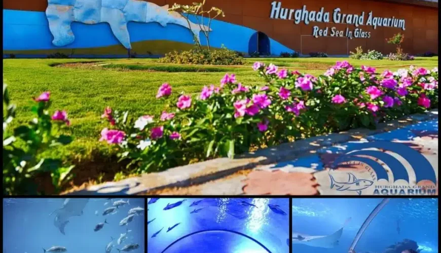 Hurghada Aquarium mit Transfer - Eingangsbereich