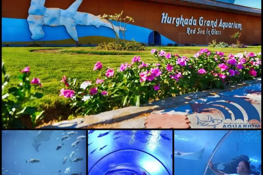 Hurghada-grand-aquarium-Ausflug-buchen