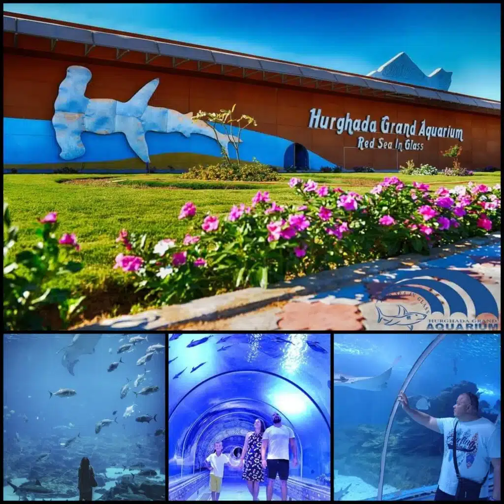 Hurghada Aquarium mit Transfer - Eingangsbereich
