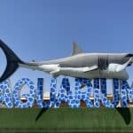 private Hurghada Aquarium Tour - Exklusiver Besuch des Hurghada Grand Aquariums