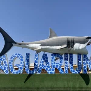 private Hurghada Aquarium Tour - Exklusiver Besuch des Hurghada Grand Aquariums