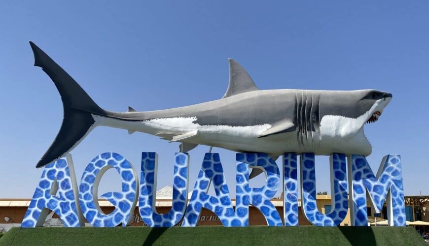 private Hurghada Aquarium Tour - Exklusiver Besuch des Hurghada Grand Aquariums