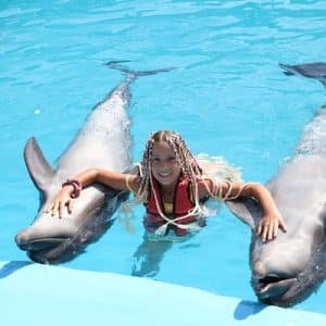 Marsa Alam Ausflüge kleine Gruppe - Tauchen mit Delfinen