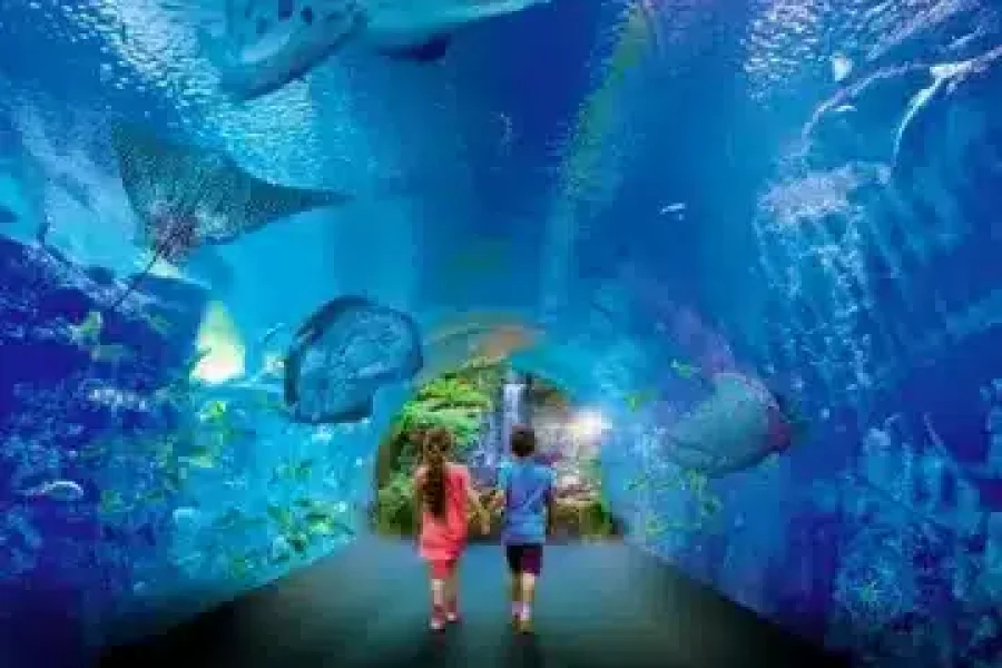 hurghada grand aquarium