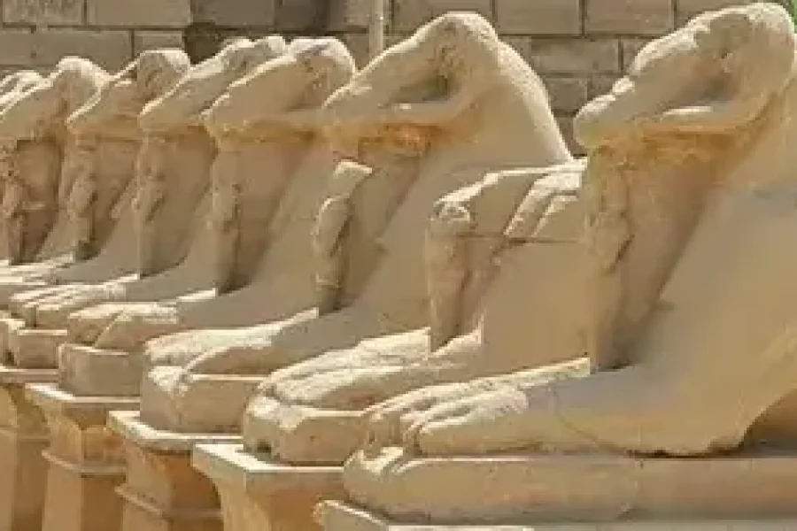 luxor tagesausflug privat