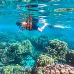 Marsa Alam Ausflug mit deutschem Guide - Schnorcheln im Roten Meer
