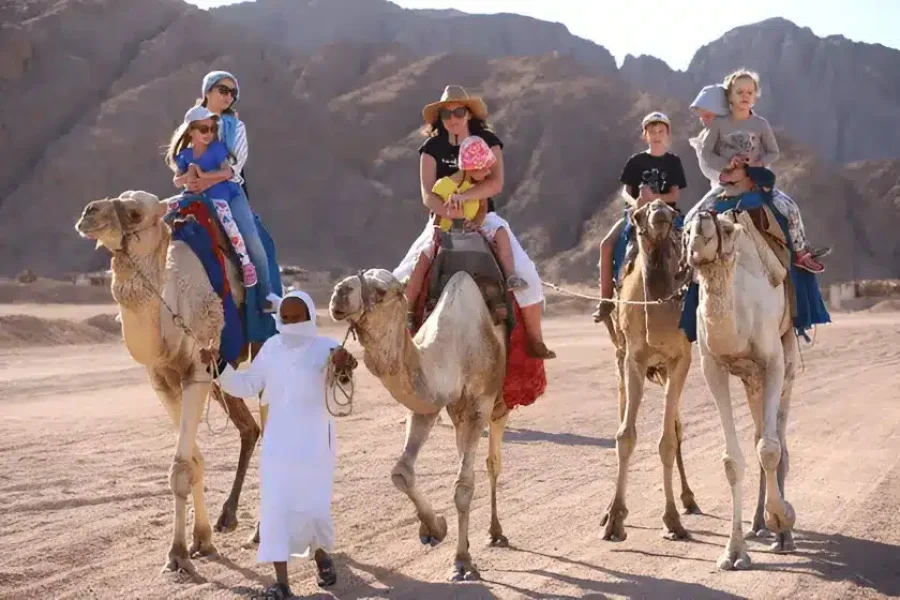 Familien Wüstensafari Hurghada am Morgen – Quad, Buggy, Jeep & Kamelritt