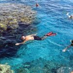 mit Delfinen schwimmen Hurghada: 7 Wesentlich Mächtig Tipps