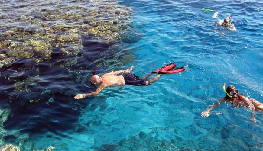mit Delfinen schwimmen Hurghada: 7 Wesentlich Mächtig Tipps