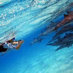 Marsa Alam Ausflüge für Familien - Kinder beim Schnorcheln