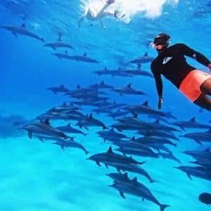 private Ausflüge Marsa Alam - Rotes Meer Schnorcheln