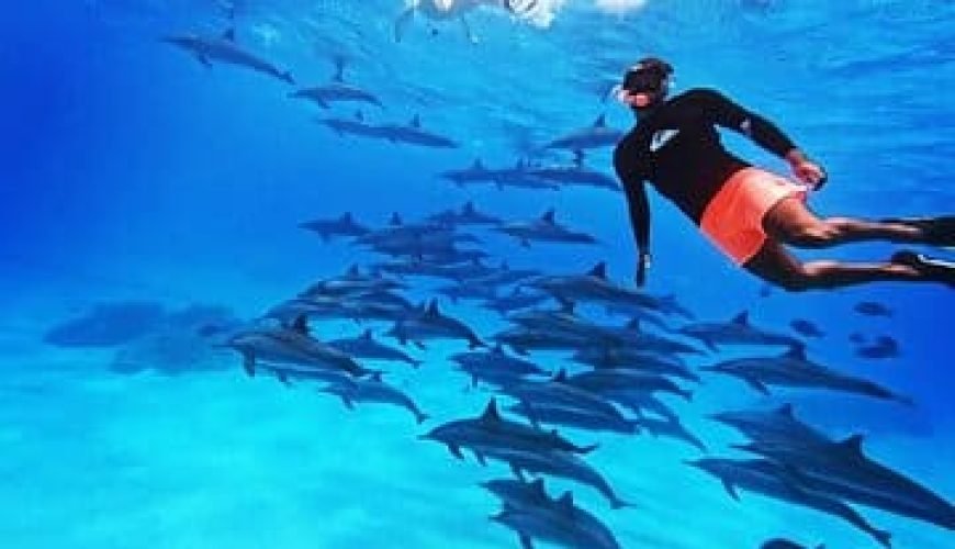 private Ausflüge Marsa Alam - Rotes Meer Schnorcheln