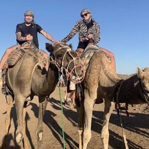 Marsa Alam Safari mit Kamelritt - Kamelkarawane in der Wüste bei Sonnenuntergang