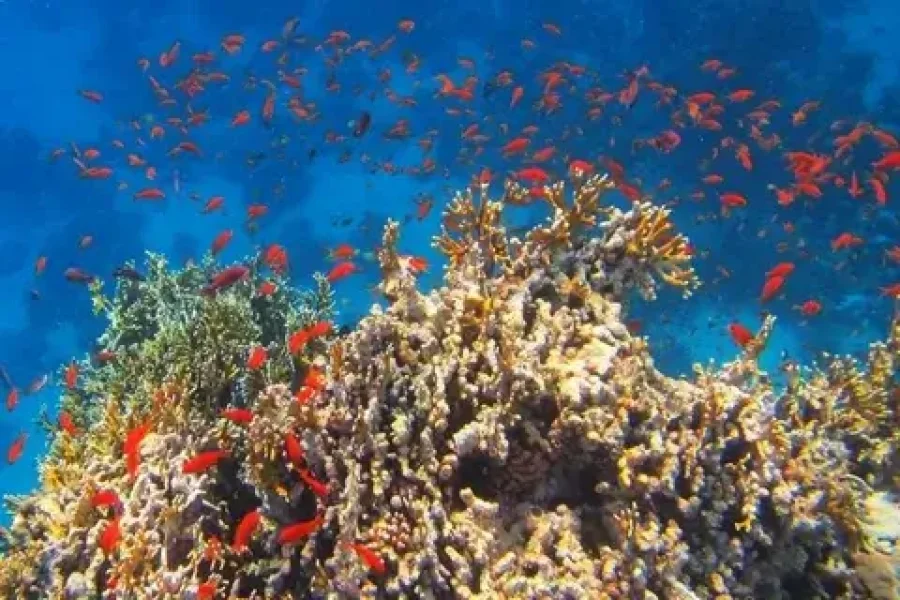 piraten schiff sonnentergang