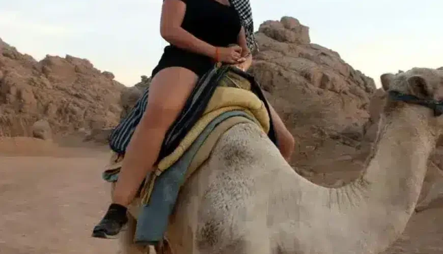 Familien Quad Safari Hurghada: 7 Beste Mächtig Abenteuer 2026